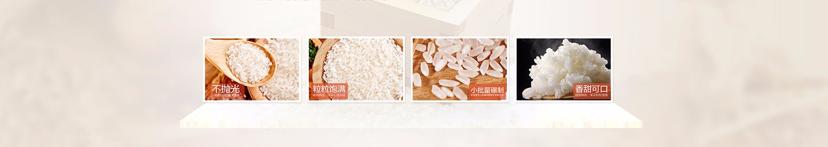丽水市某某商业展览培训学校